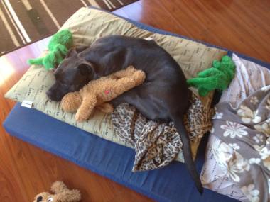 12092432_1495770370722346_1222027651_n